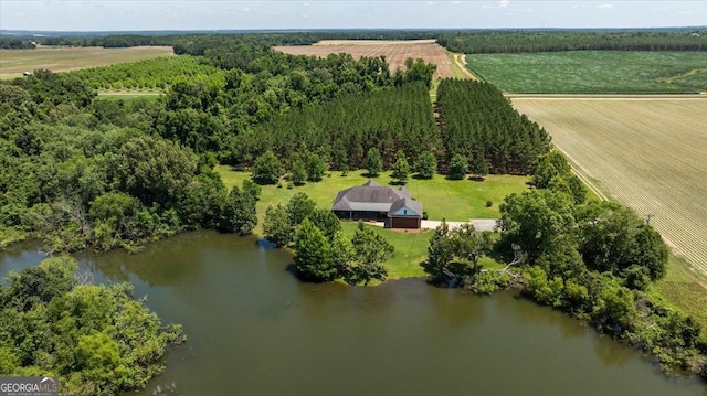 737 Raleigh Cobb Rd, Hawkinsville, GA 31036 - aerial view of sparsely populated area with a large body of water