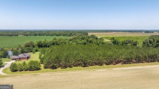 737 Raleigh Cobb Rd, Hawkinsville, GA 31036 - bird's eye view