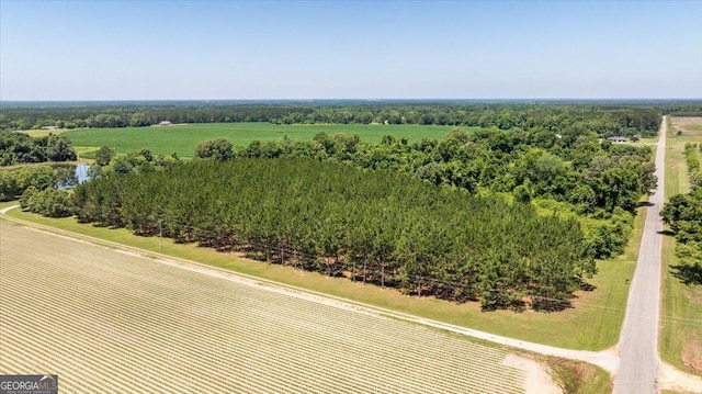 737 Raleigh Cobb Rd, Hawkinsville, GA 31036 - overview of rural landscape