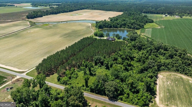 737 Raleigh Cobb Rd, Hawkinsville, GA 31036 - aerial view of property's location featuring a nearby body of water