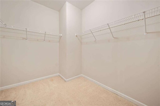 100 Trailside Way, Hiram, GA 30141 - spacious closet featuring carpet floors