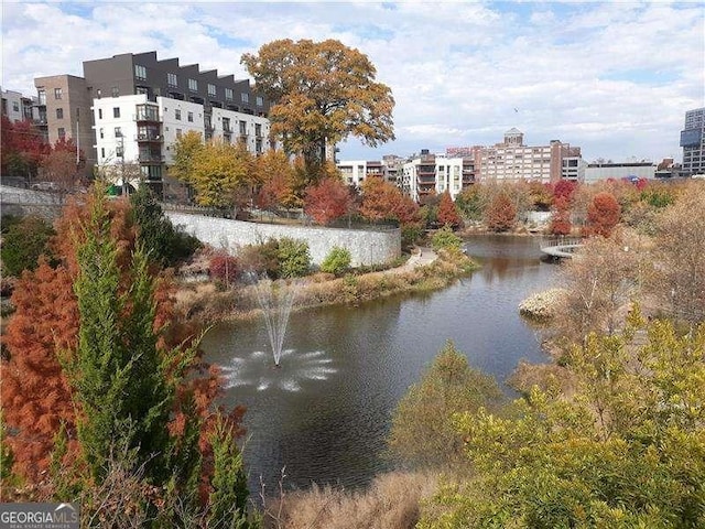 1015 Mcgill Park Ave NE, Atlanta, GA 30312 - water view