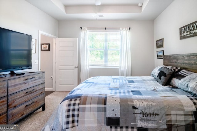 174 Silver Birch Pass, Newnan, GA 30265 - carpeted bedroom with a tray ceiling