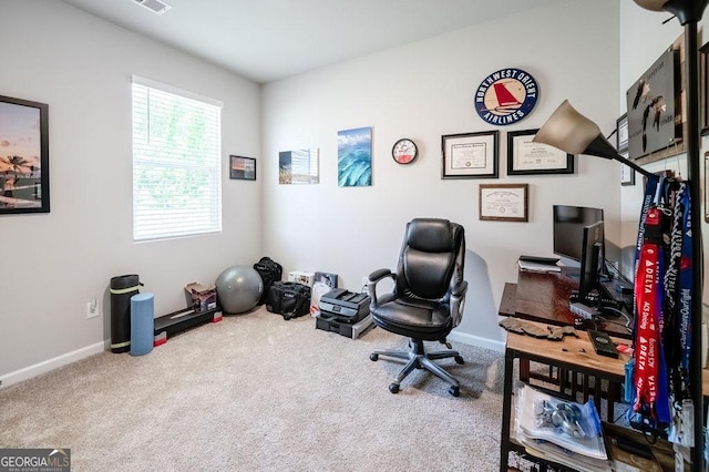 174 Silver Birch Pass, Newnan, GA 30265 - carpeted office space featuring baseboards