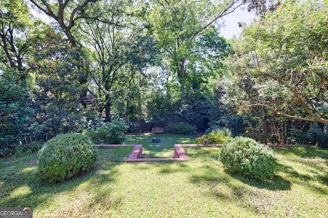 381 Cherokee Ave SE, Atlanta, GA 30312 - view of yard