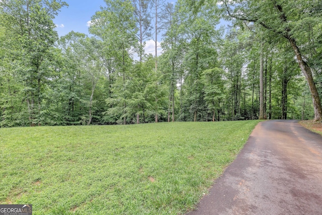 405 Dugas Rd, Dahlonega, GA 30533 - view of green lawn with a wooded view and asphalt driveway