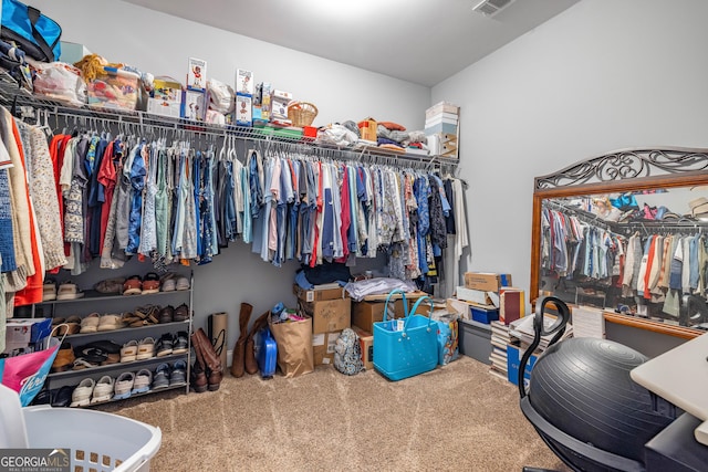 405 Dugas Rd, Dahlonega, GA 30533 - walk in closet with carpet floors