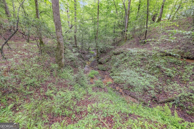 405 Dugas Rd, Dahlonega, GA 30533 - view of wooded area