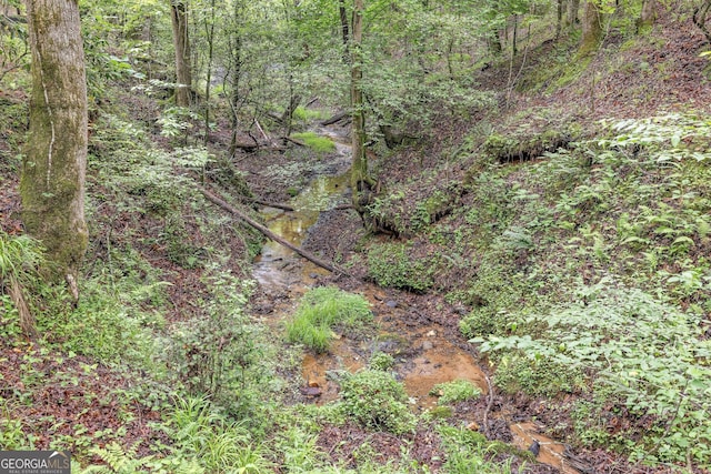 405 Dugas Rd, Dahlonega, GA 30533 - view of tree filled area