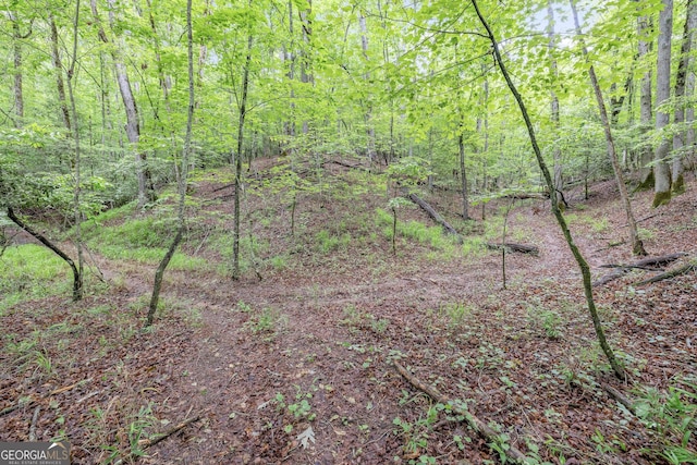 405 Dugas Rd, Dahlonega, GA 30533 - view of tree filled area