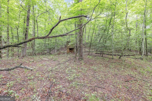 405 Dugas Rd, Dahlonega, GA 30533 - view of wooded area