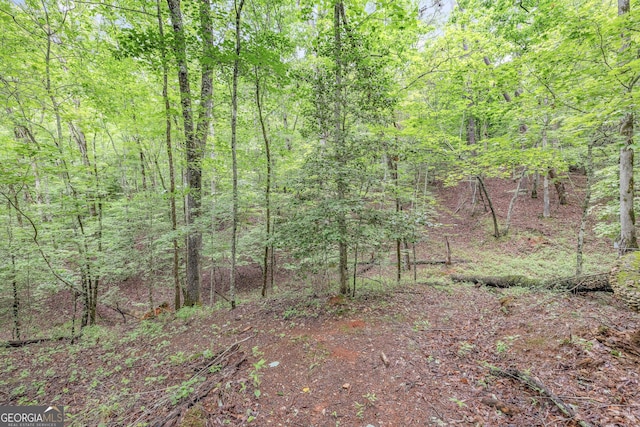 405 Dugas Rd, Dahlonega, GA 30533 - view of woods
