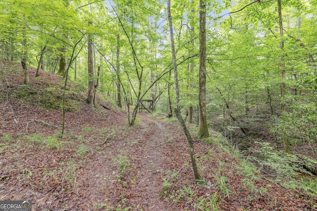 405 Dugas Rd, Dahlonega, GA 30533 - view of woods