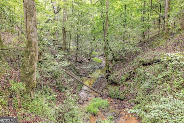 405 Dugas Rd, Dahlonega, GA 30533 - view of tree filled area