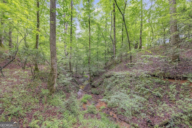 405 Dugas Rd, Dahlonega, GA 30533 - view of wooded area