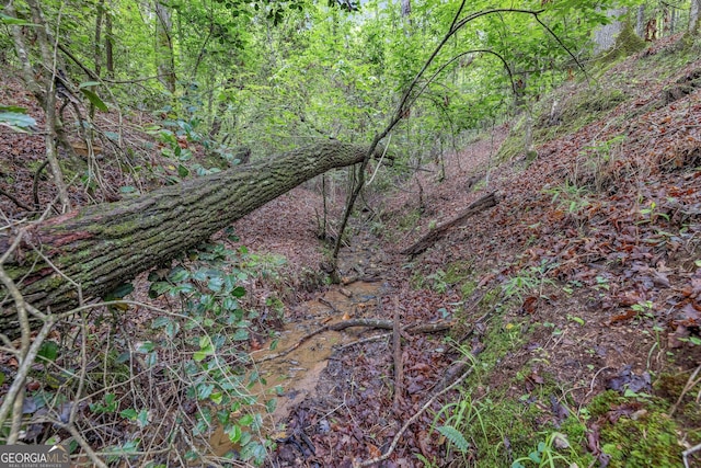 405 Dugas Rd, Dahlonega, GA 30533 - view of tree filled area