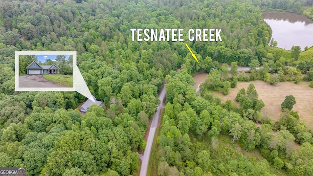 405 Dugas Rd, Dahlonega, GA 30533 - drone / aerial view of a forest and a nearby body of water