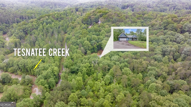 405 Dugas Rd, Dahlonega, GA 30533 - aerial view of a forest