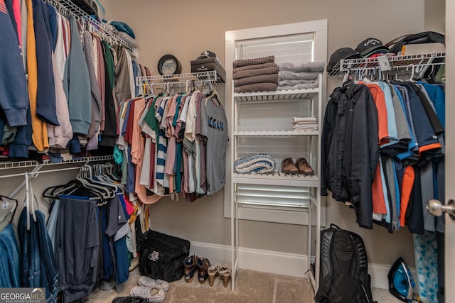 924 Abingdon Cv, Bonaire, GA 31005 - walk in closet featuring carpet