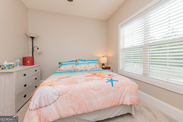 924 Abingdon Cv, Bonaire, GA 31005 - bedroom with multiple windows and carpet flooring