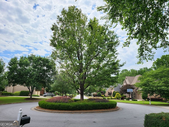 151 Overhill Pt, Alpharetta, GA 30005 - view of asphalt road with curbs