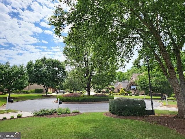 151 Overhill Pt, Alpharetta, GA 30005 - view of home's community featuring a yard