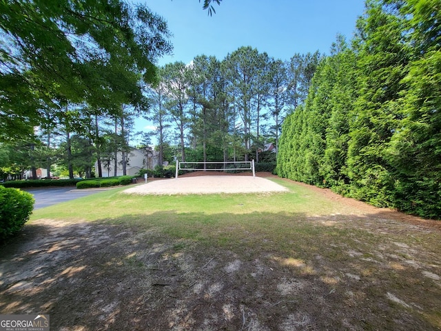 151 Overhill Pt, Alpharetta, GA 30005 - view of grassy yard with volleyball court