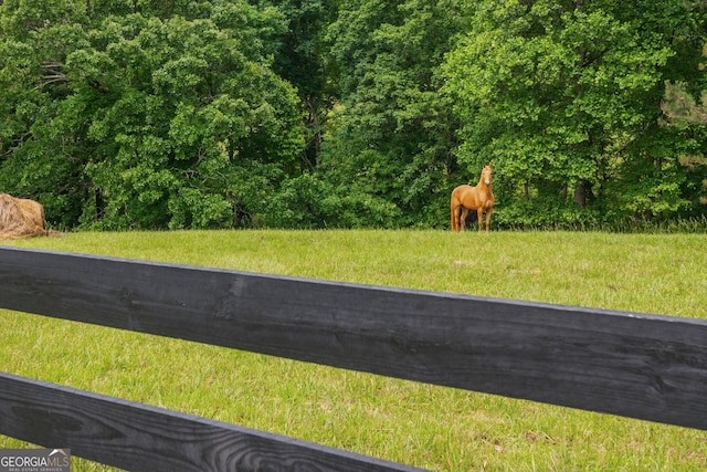 209 Voyles Way, Dawsonville, GA 30534 - view of yard