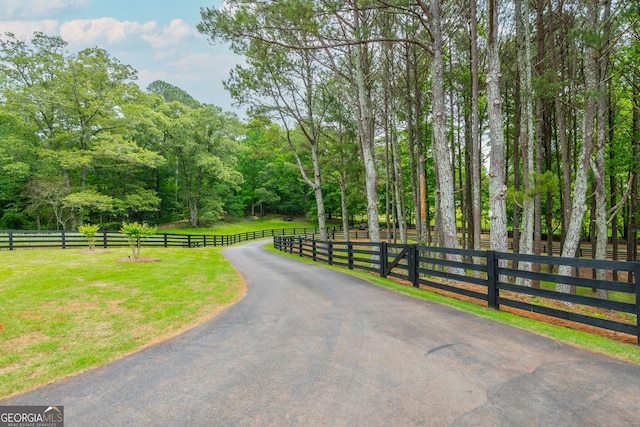 209 Voyles Way, Dawsonville, GA 30534 - view of street
