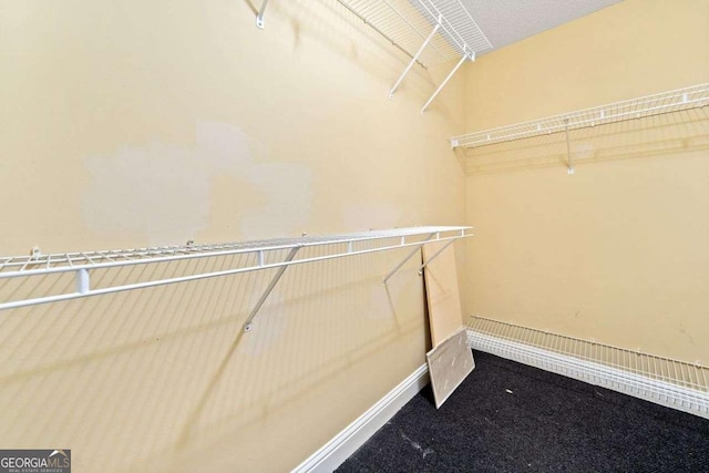 4544 Dorsett Shoals Run, Douglasville, GA 30135 - view of spacious closet