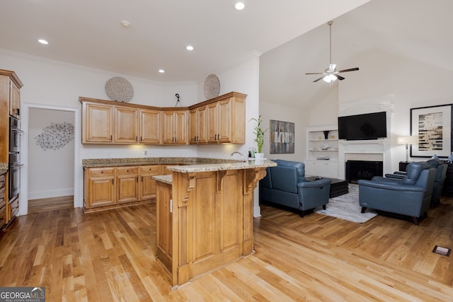 720 Latrobe Way, Macon, GA 31220 - kitchen with a kitchen bar, open floor plan, a peninsula, light stone countertops, and high vaulted ceiling