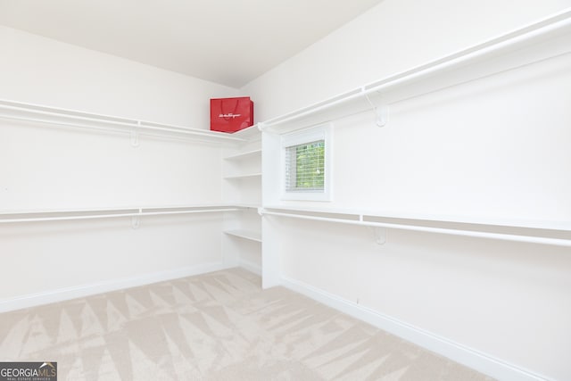720 Latrobe Way, Macon, GA 31220 - spacious closet with light carpet