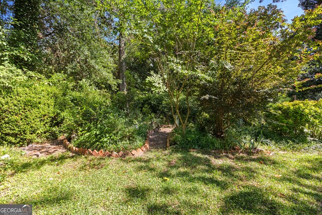 416 Engram St, Montezuma, GA 31063 - view of grassy yard