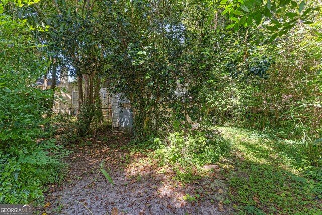 416 Engram St, Montezuma, GA 31063 - view of local wilderness