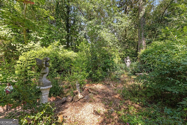 416 Engram St, Montezuma, GA 31063 - view of woods