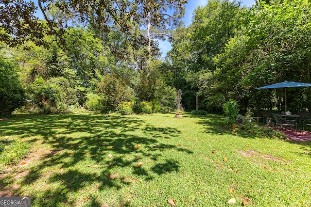 416 Engram St, Montezuma, GA 31063 - view of grassy yard