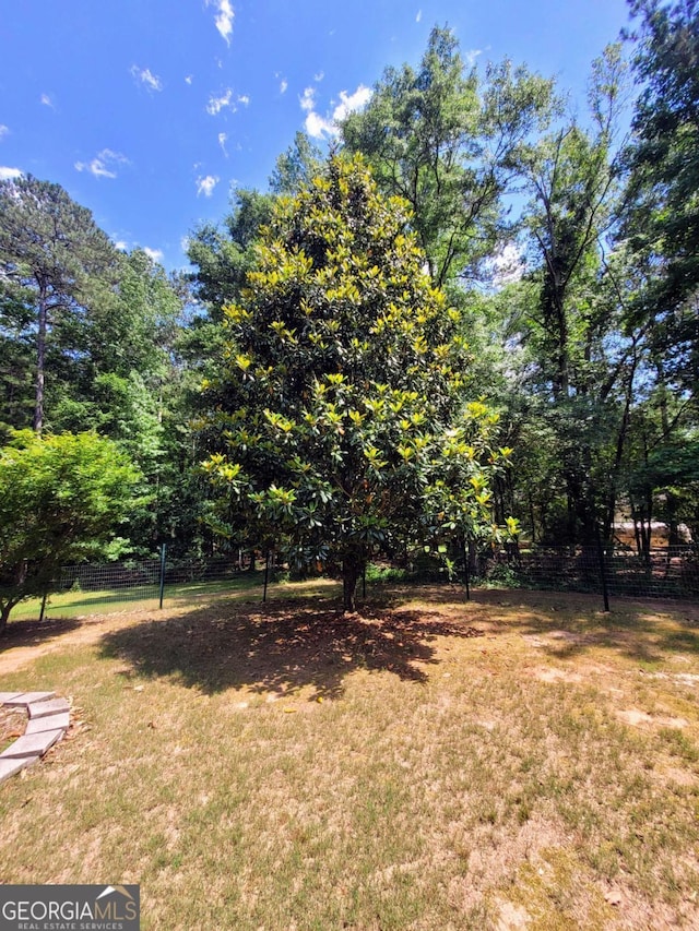 135 Pine Creek Way, Winterville, GA 30683 - view of yard