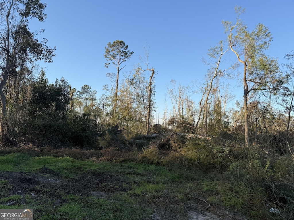 0 Old Graham Rd, Hazlehurst, GA 31539