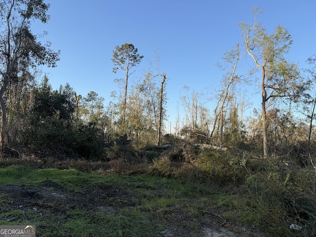 0 Old Graham Rd, Hazlehurst, GA 31539