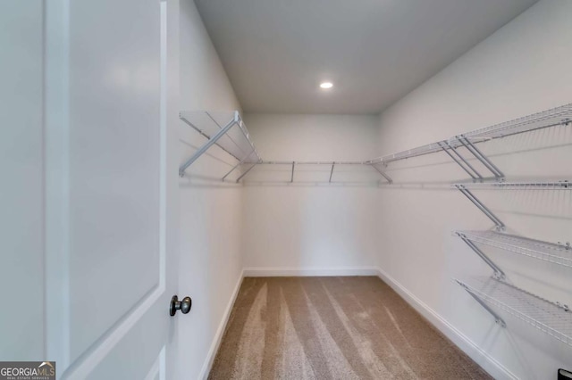537 Principal Meridian Dr, Dallas, GA 30132 - spacious closet with carpet