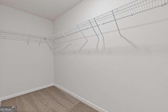 427 Buck Trl, Dallas, GA 30132 - spacious closet featuring carpet