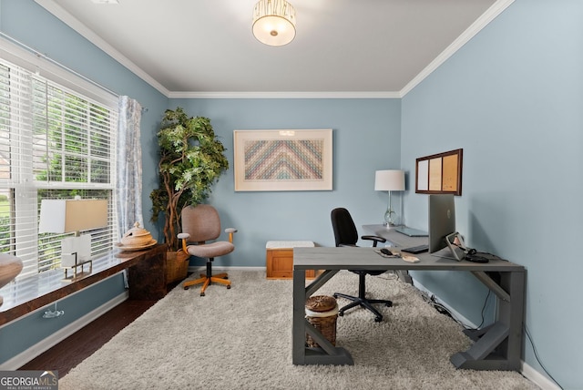 6160 Overleaf Ter, Cumming, GA 30040 - office featuring crown molding and baseboards