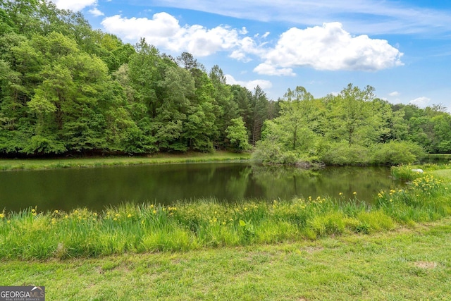 15580 Rowe Rd, Milton, GA 30004