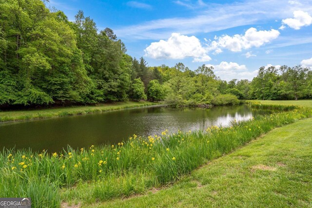 15580 Rowe Rd, Milton, GA 30004