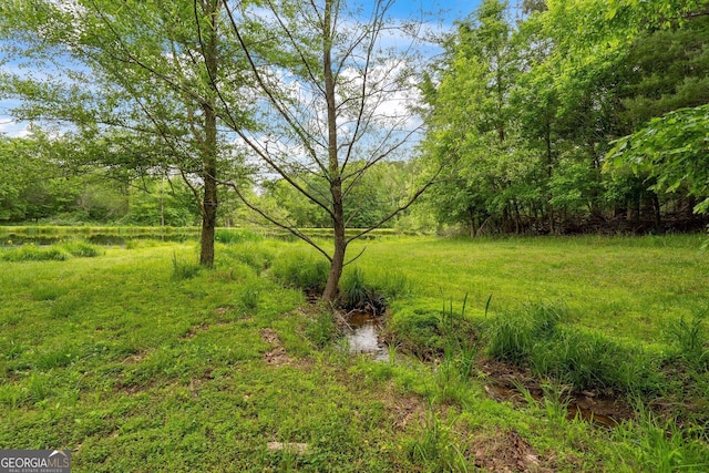 15580 Rowe Rd, Milton, GA 30004
