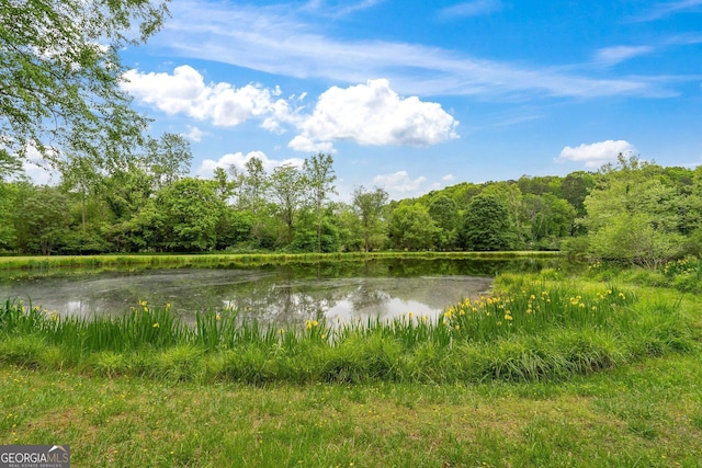 15580 Rowe Rd, Milton, GA 30004