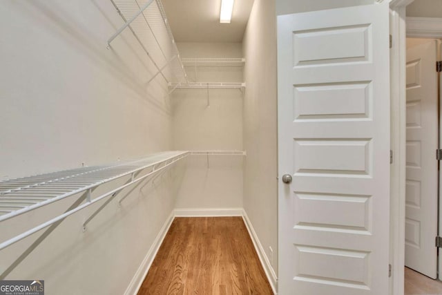 26 Trillium Ln, Acworth, GA 30101 - walk in closet featuring light wood finished floors