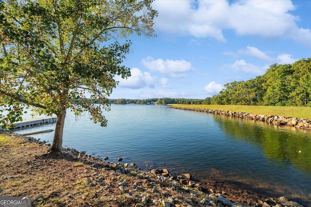 2490 S Carroll St, Villa Rica, GA 30180 - water view