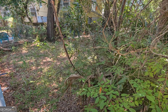 507 W 35th St, Savannah, GA 31415 - view of yard