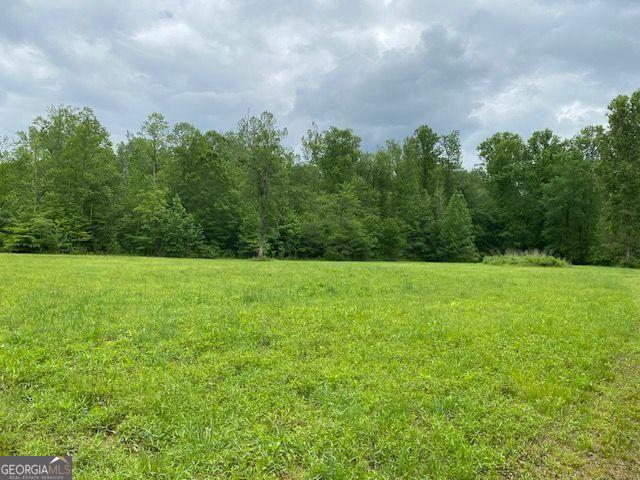 209 Horton Rd, Dahlonega, GA 30533